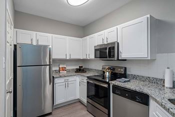 Apartment kitchen - tampa